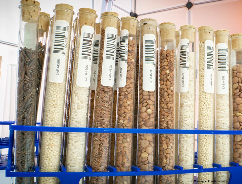 Seed Saving 101: A Comprehensive Guide for Gardeners & Preppers