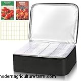 Seed Saving 101: A Comprehensive Guide for Gardeners & Preppers