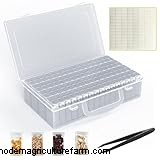 Seed Saving 101: A Comprehensive Guide for Gardeners & Preppers
