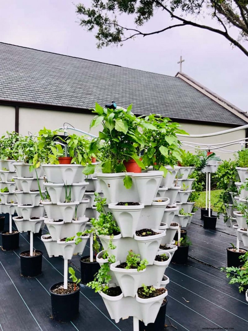 Vertical Garden Cost in India: A Comprehensive Cost Breakdown & Price Guide