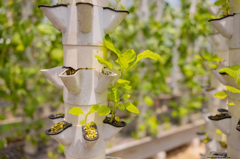 Vertical Garden Cost in India: A Comprehensive Cost Breakdown & Price Guide
