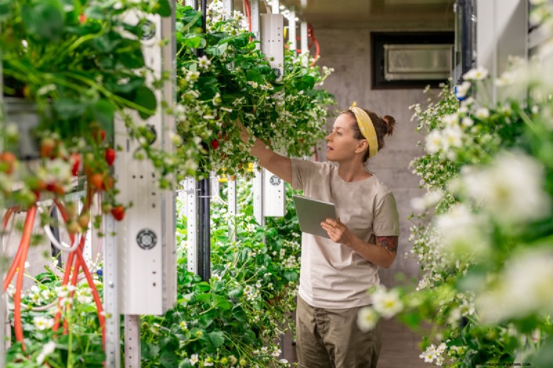 Vertical Garden Cost in India: A Comprehensive Cost Breakdown & Price Guide