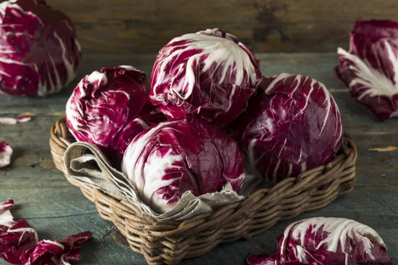Radicchio: Planting, Growing & Harvesting - A Complete Guide