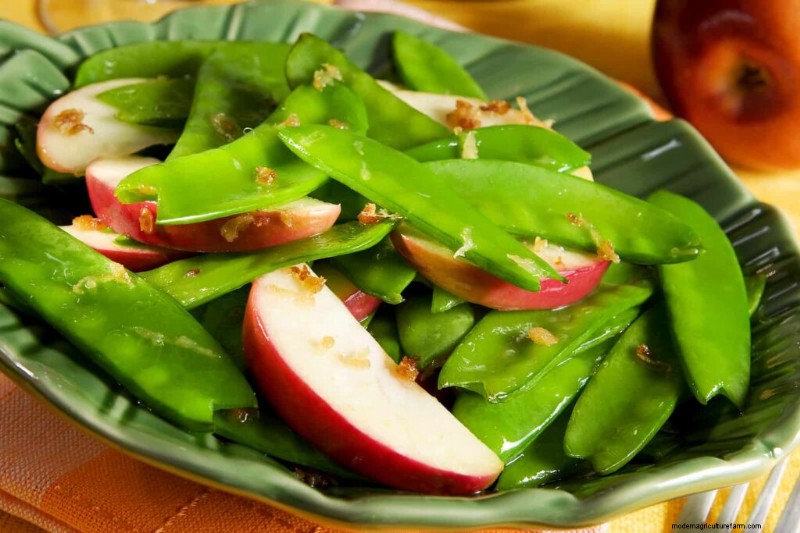 Apple Recipes & Serving Ideas: From Savory to Sweet