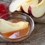 Apple Recipes & Serving Ideas: From Savory to Sweet