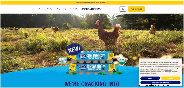 Best Egg Brands: A Comprehensive Ranking for Quality & Value