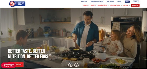 Best Egg Brands: A Comprehensive Ranking for Quality & Value