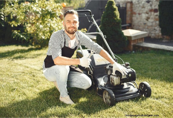 Garden Cleanliness: Tips for a Beautiful & Well-Maintained Outdoor Space