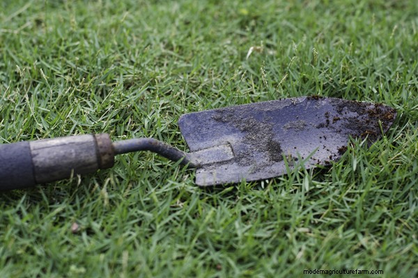 Gardening Essentials: Must-Have Equipment for Beginners