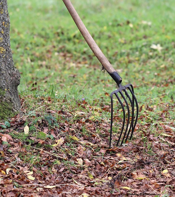 Gardening Essentials: Must-Have Equipment for Beginners