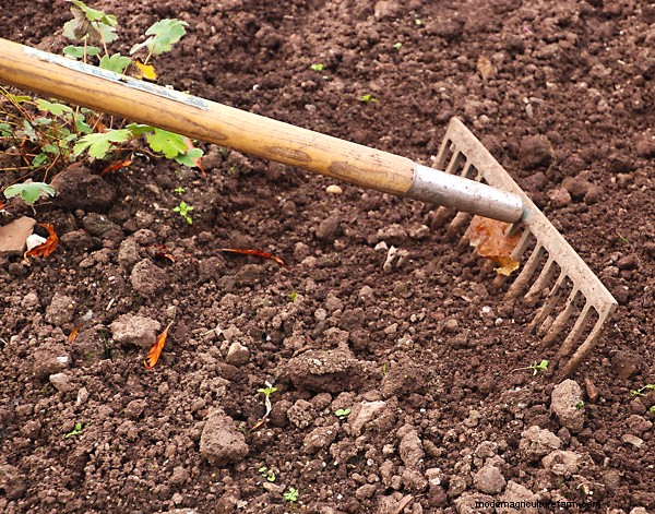 Gardening Essentials: Must-Have Equipment for Beginners