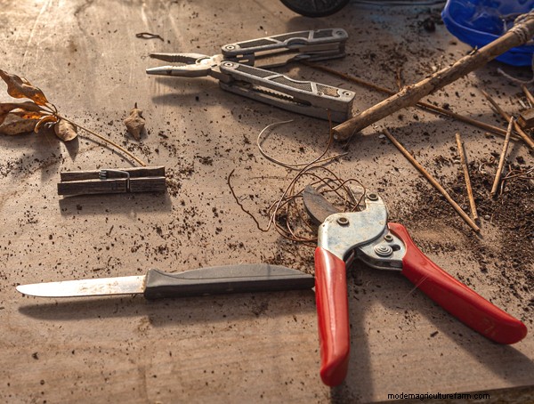 Gardening Essentials: Must-Have Equipment for Beginners