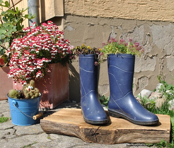 Gardening Essentials: Must-Have Equipment for Beginners