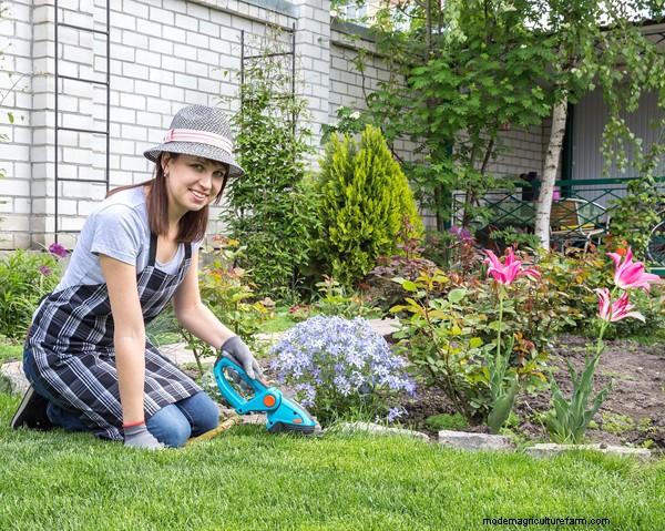 Gardening Essentials: Must-Have Equipment for Beginners