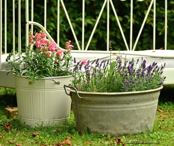 Gardening Essentials: Must-Have Equipment for Beginners
