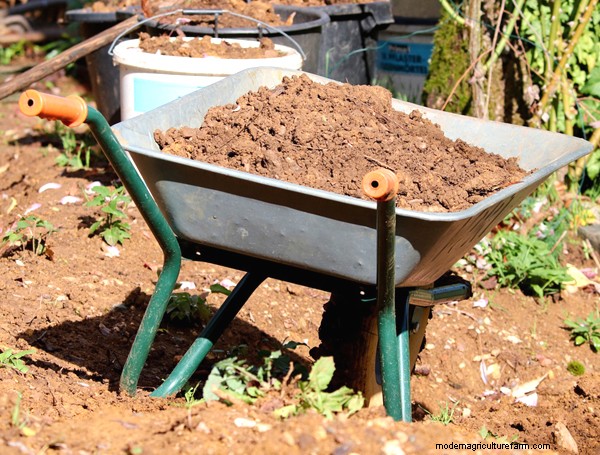 Gardening Essentials: Must-Have Equipment for Beginners