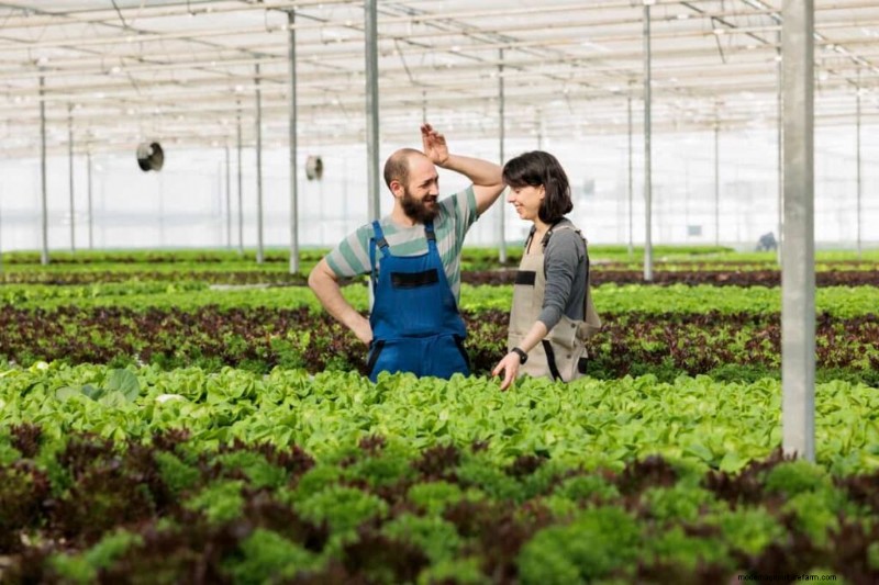 California Greenhouse Farming Costs: A Comprehensive Expense Guide
