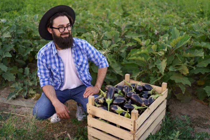 Organic Vegetable Farming in the Philippines: A Comprehensive Guide
