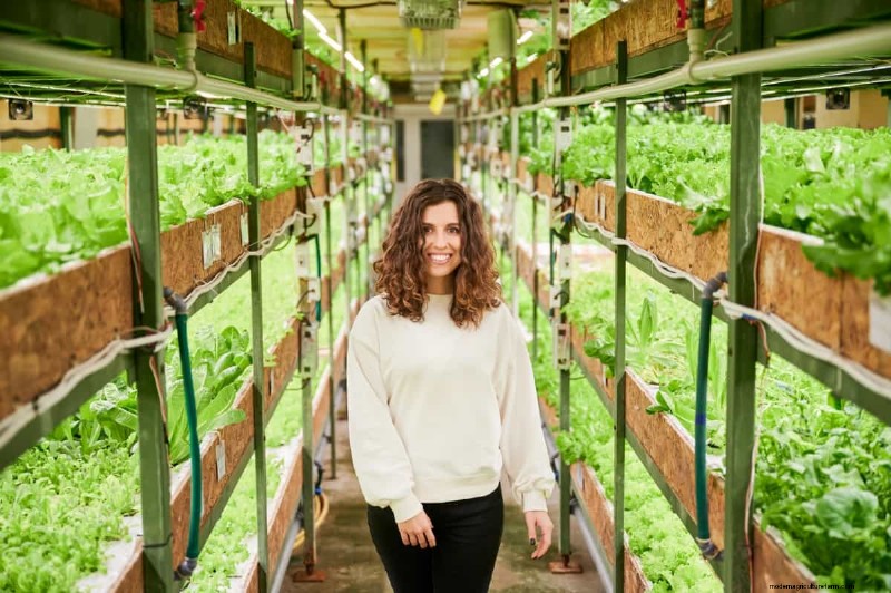 Vertical Farming Costs in India: A Comprehensive Analysis