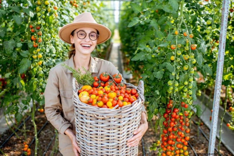 Organic Pest Control for Healthy Tomato Crops | Sustainable Farming