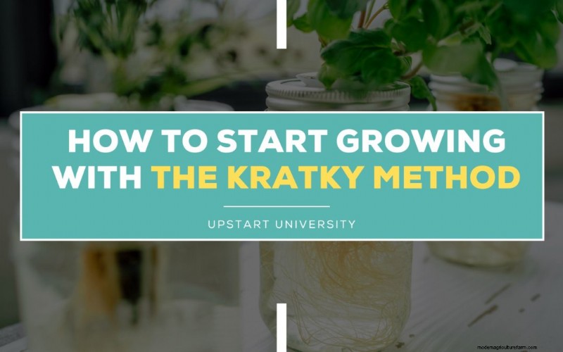 Indoor Farming Technology: Kratky Method & Grow Lights