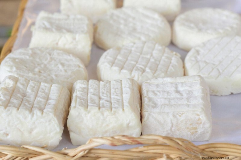 Goat Breeds: A Guide to Dairy, Meat, and Fiber Goats
