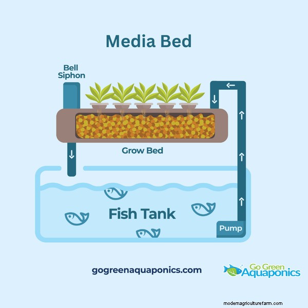 Outdoor Aquaponics: A Comprehensive Guide to Sustainable Food Production