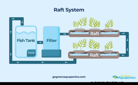 Outdoor Aquaponics: A Comprehensive Guide to Sustainable Food Production