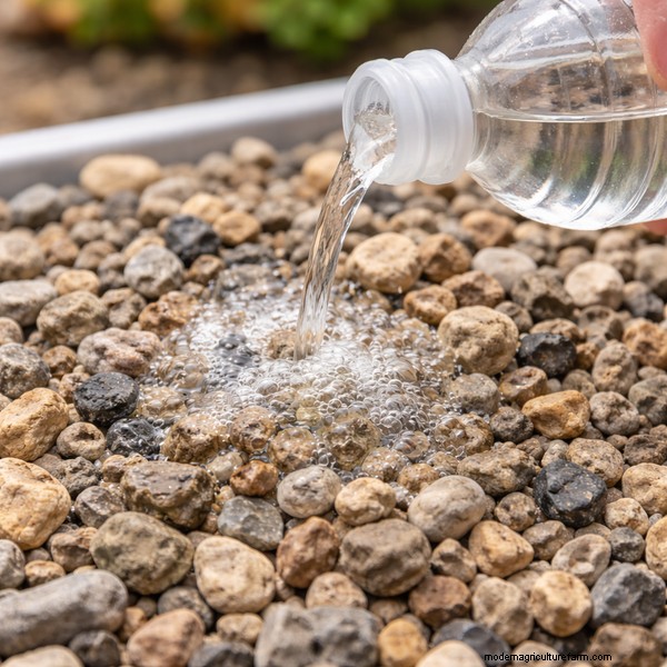 Gravel in Aquaponics: A Reliable and Cost-Effective Grow Medium