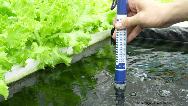Aquaponics Water Quality: A Comprehensive Guide to pH, Ammonia & Nitrate