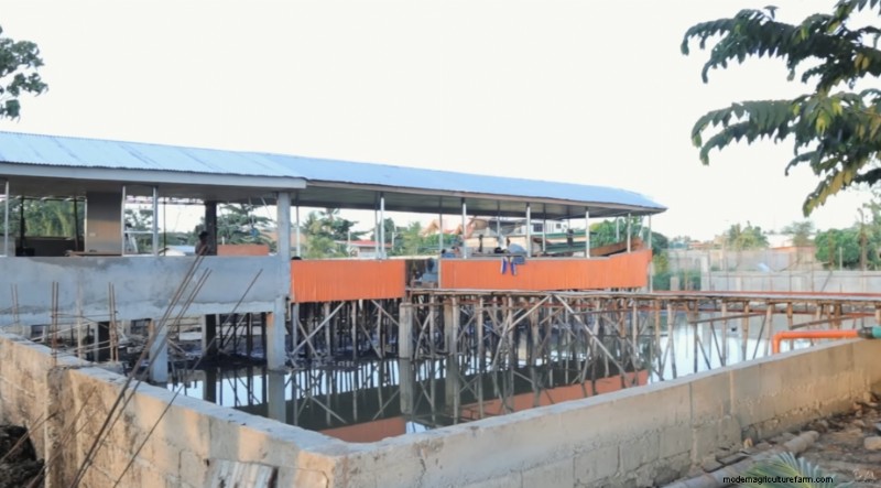 Dexter s World Farm: Sustainable Farming & Tilapia Production