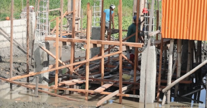 Dexter s World Farm: Sustainable Farming & Tilapia Production