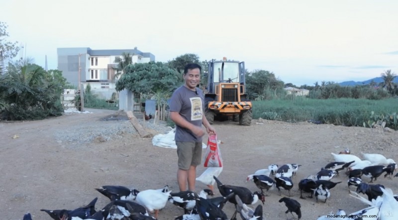 Dexter s World Farm: Sustainable Farming & Tilapia Production