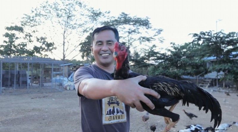 Dexter s World Farm: Sustainable Farming & Tilapia Production