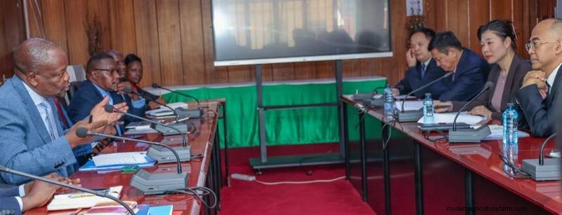 Kenya Seeks Tariff Reduction on Coffee, Tea, and Avocados from China