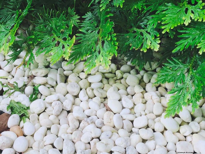 Modern Garden Edging Ideas: Create Beautiful Boundaries & Define Spaces