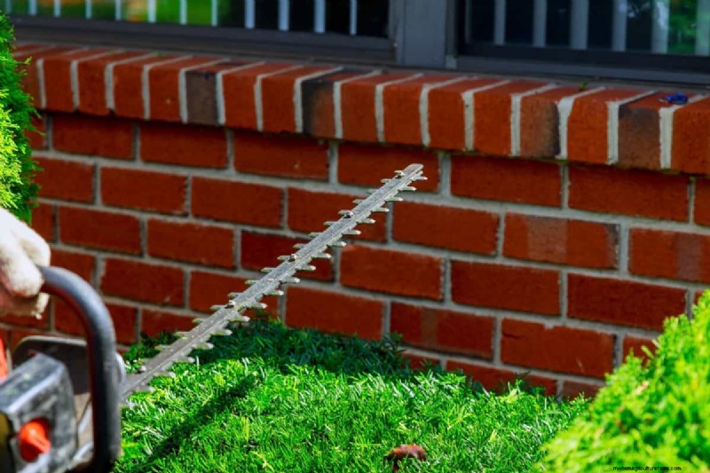 Modern Garden Edging Ideas: Create Beautiful Boundaries & Define Spaces