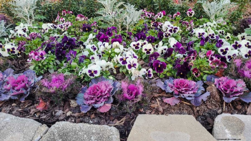Modern Garden Edging Ideas: Create Beautiful Boundaries & Define Spaces