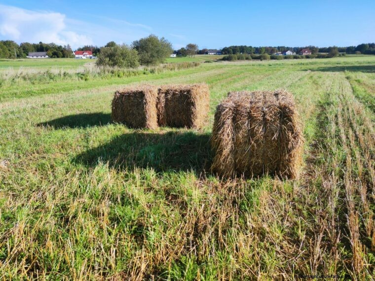 Agricultural Glossary: Terms Starting with T - Definitions & Explanations