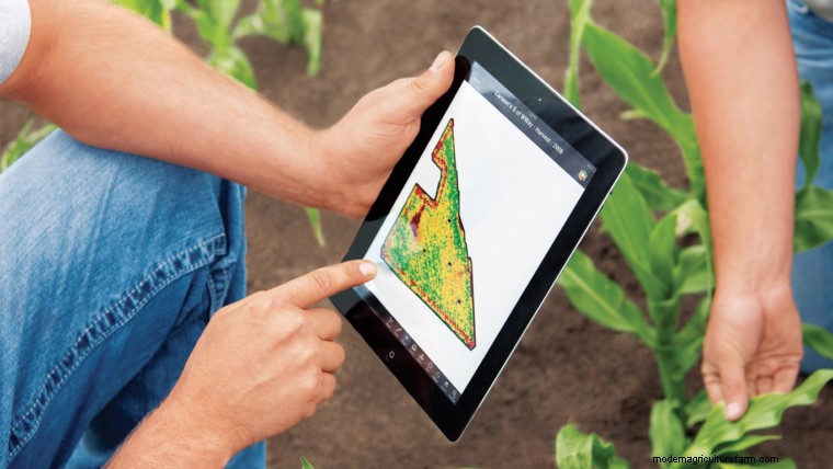 Minimum Tillage: Definition & Benefits for Sustainable Farming