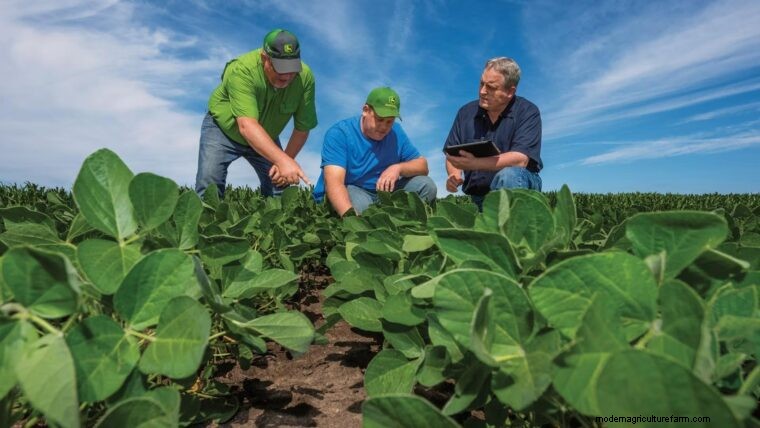 Minimum Tillage: Definition & Benefits for Sustainable Farming