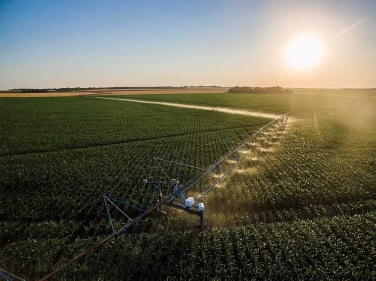 Agricultural Terminology: Definitions for Farmers (Part 2 - F-L)