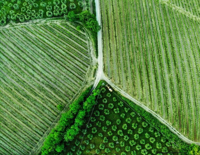 Agriculture Glossary: Essential Terms A-E for Farmers & Beginners