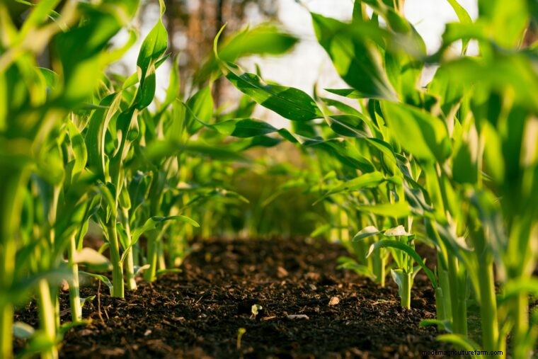 Agriculture Glossary: Essential Terms A-E for Farmers & Beginners