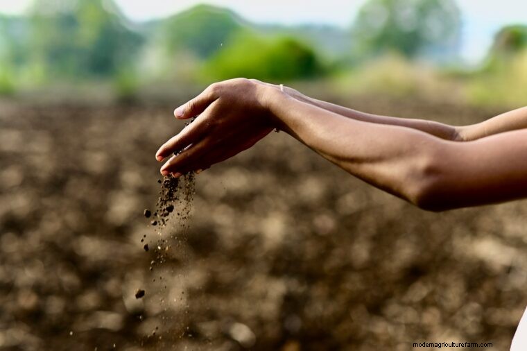 Agriculture Glossary: Essential Terms A-E for Farmers & Beginners