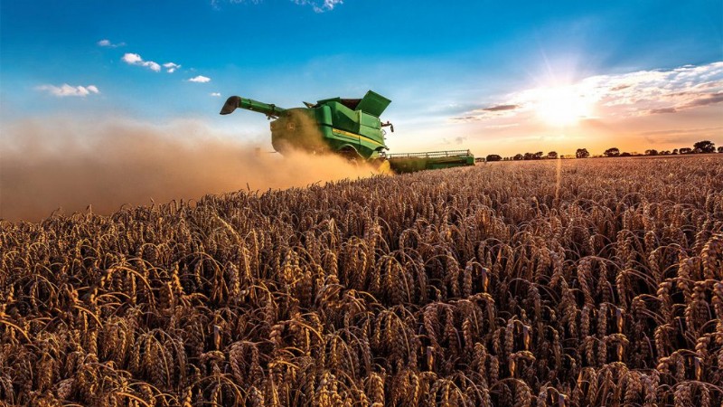 Maximize Post-Harvest Efficiency with Grain Handling Equipment
