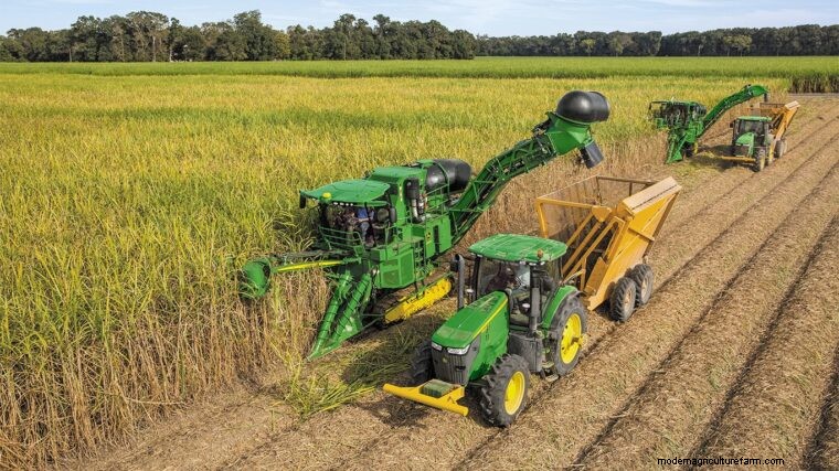 Choosing the Right Sugar Cane Harvester: A Farmer s Guide