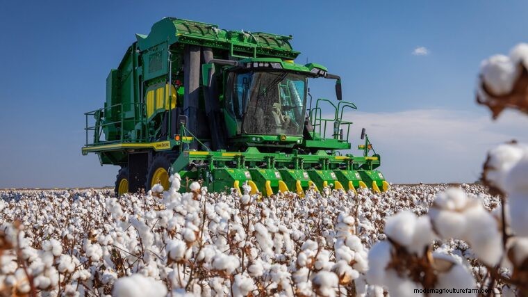 Cotton Harvesting Season: Timing, Best Practices & Equipment