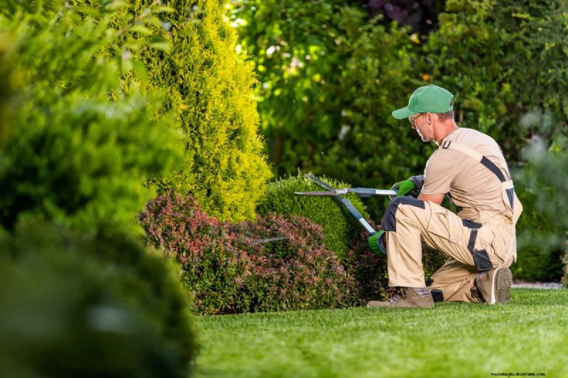 California Landscaping Costs: Average Price Per Square Foot | [Year]