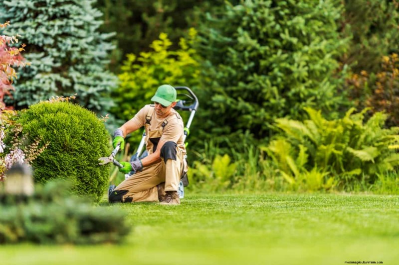 California Landscaping Costs: Average Price Per Square Foot | [Year]